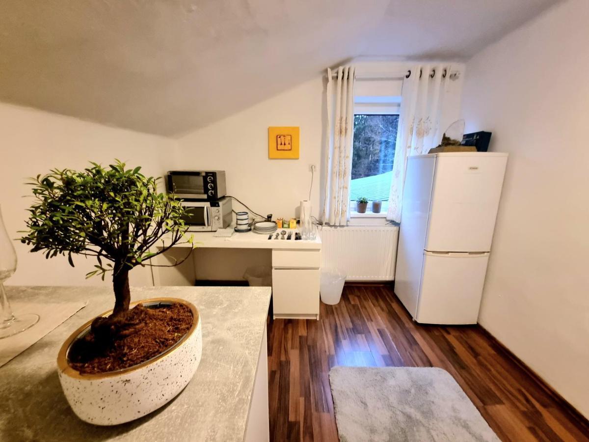 Salzburg Living Apartment Guggenthal Ngoại thất bức ảnh